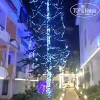 фото из отзыва ID 1810428