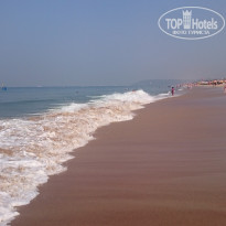 фото из отзыва ID 1810428