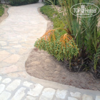 фото из отзыва ID 1810605