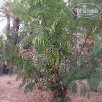 фото из отзыва ID 1810605