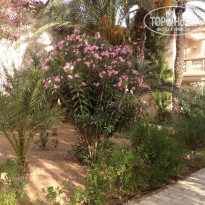 фото из отзыва ID 1810605