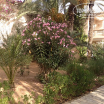 фото из отзыва ID 1810605