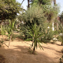 фото из отзыва ID 1810605