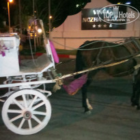 фото из отзыва ID 1810635