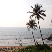 фото из отзыва ID 1810689