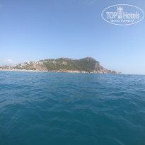 фото из отзыва ID 1810730