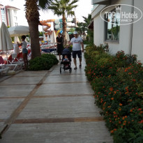 фото из отзыва ID 1810774