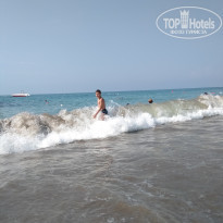 фото из отзыва ID 1810774