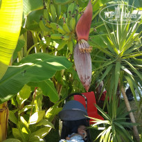 фото из отзыва ID 1810774