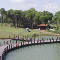 фото из отзыва ID 1810932