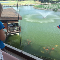 фото из отзыва ID 1810932