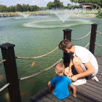 фото из отзыва ID 1810932