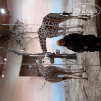 фото из отзыва ID 1810890