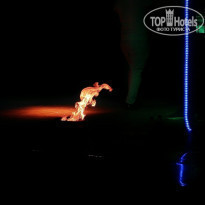 фото из отзыва ID 1810965