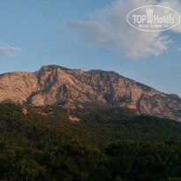 фото из отзыва ID 1810965