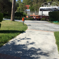 фото из отзыва ID 1811074