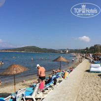 фото из отзыва ID 1811074