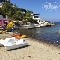 фото из отзыва ID 1811074