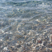 фото из отзыва ID 1810965