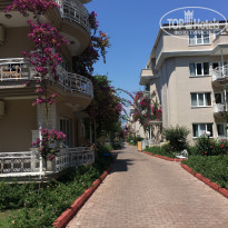 фото из отзыва ID 1810217