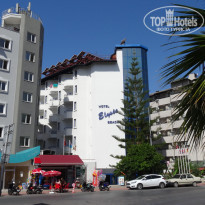 фото из отзыва ID 1811209