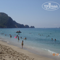 фото из отзыва ID 1811209