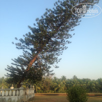 фото из отзыва ID 1811157