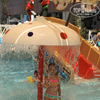 фото из отзыва ID 1811257