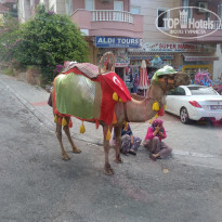 фото из отзыва ID 1811572