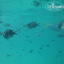 фото из отзыва ID 1811602