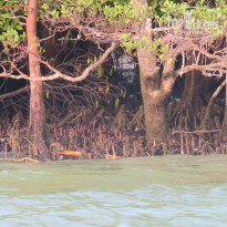 фото из отзыва ID 1811602