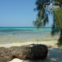 фото из отзыва ID 1811602