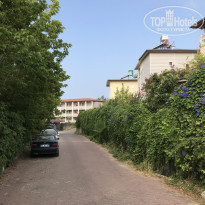 фото из отзыва ID 1811648