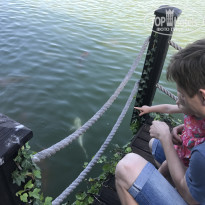 фото из отзыва ID 1811590