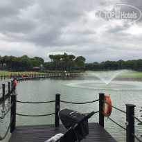 фото из отзыва ID 1811590