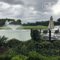 фото из отзыва ID 1811590