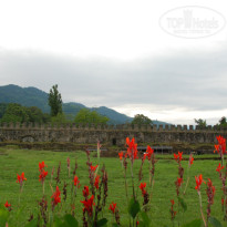 фото из отзыва ID 1811801