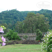 фото из отзыва ID 1811801