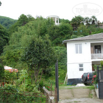 фото из отзыва ID 1811801