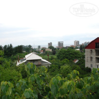 фото из отзыва ID 1811801