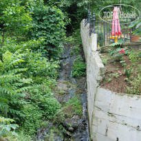 фото из отзыва ID 1811801