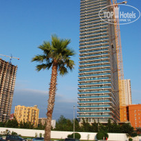 фото из отзыва ID 1811801