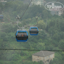 фото из отзыва ID 1811801