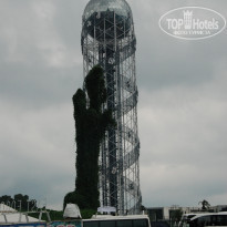 фото из отзыва ID 1811801