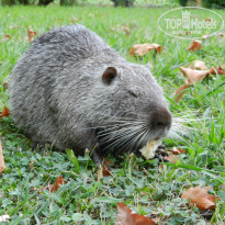 фото из отзыва ID 1811826