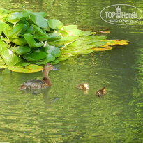 фото из отзыва ID 1811826