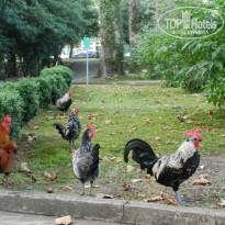 фото из отзыва ID 1811826