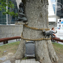 фото из отзыва ID 1811826