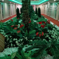 фото из отзыва ID 1811884