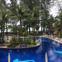 фото из отзыва ID 1811901